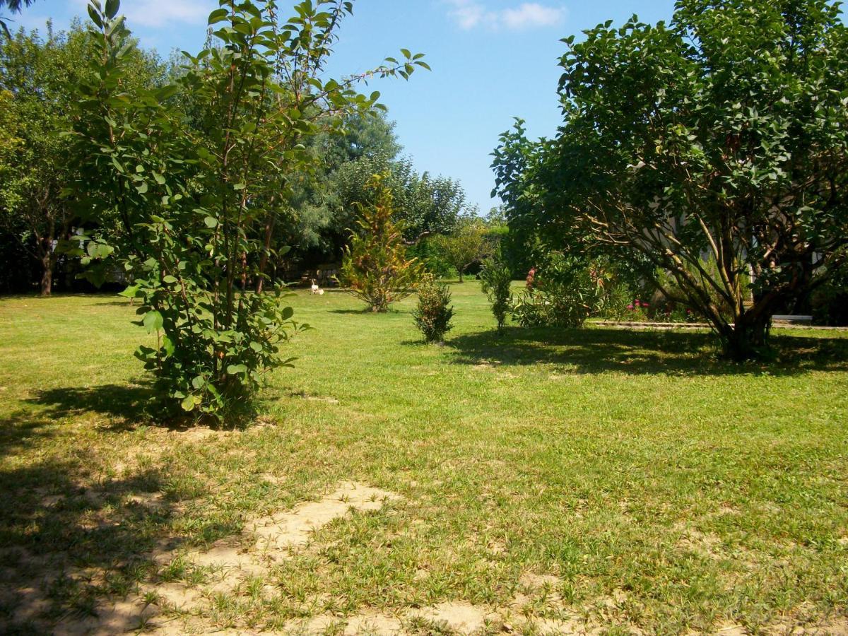 Bed and Breakfast Domaine De Monein Сент-Андре-де-Кюбзак Экстерьер фото