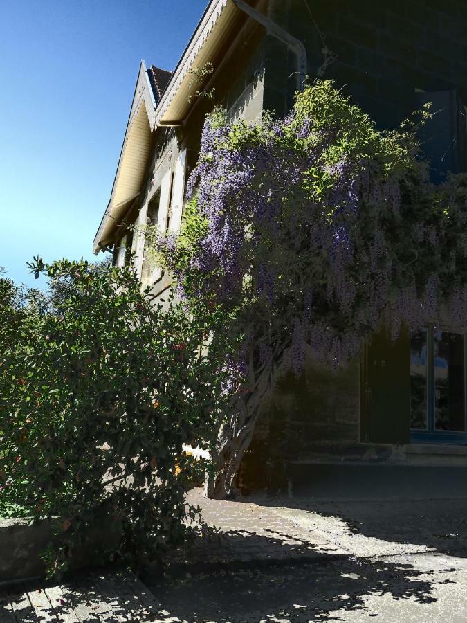 Bed and Breakfast Domaine De Monein Сент-Андре-де-Кюбзак Экстерьер фото